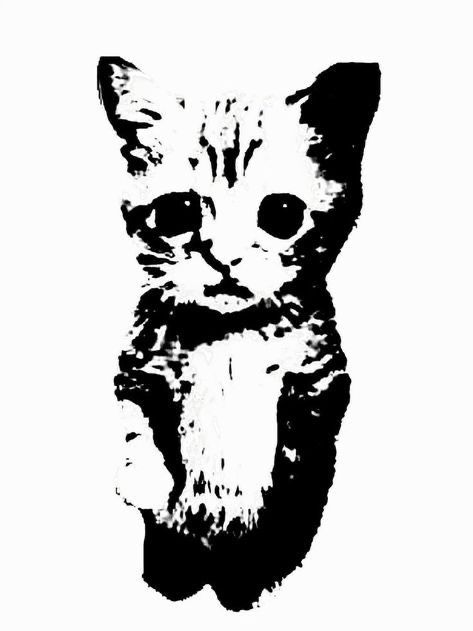 Áo in hình mồn lèo siêu dễ thương, cực chất, hài hước