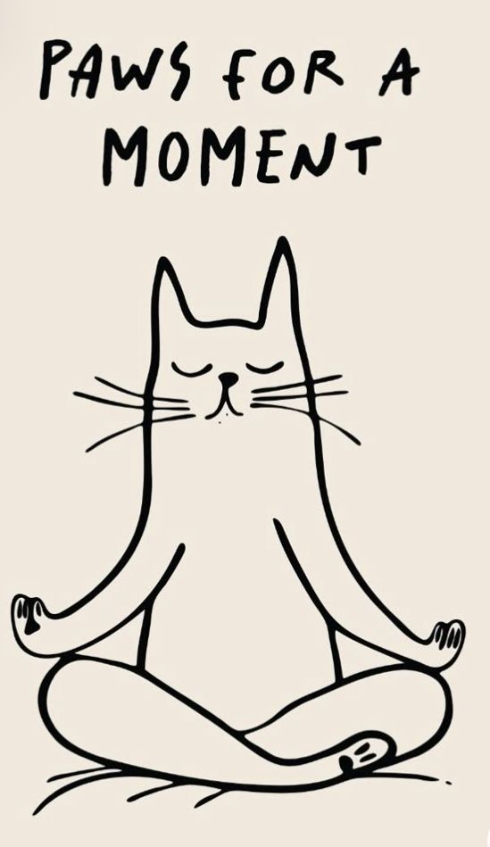 Áo in hình mồn lèo siêu dễ thương, cực chất, hài hước