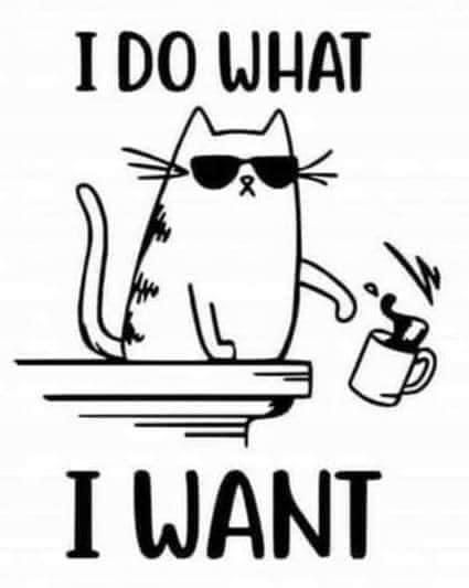 Áo in hình mồn lèo siêu dễ thương, cực chất, hài hước